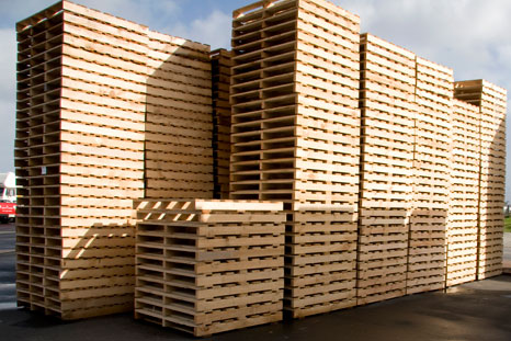 egypallet