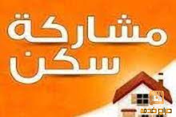 متوفر سكن شيرنيج شاب في شقة جديدة