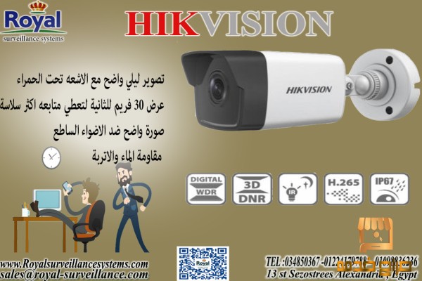 كاميرا مراقبة  اسكندرية surveillance