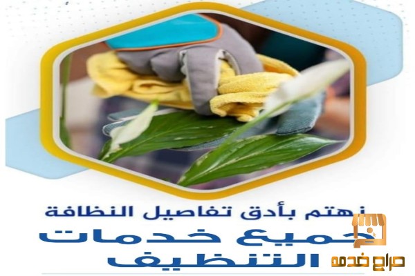معنا رح تودعي تعب  التنظيف