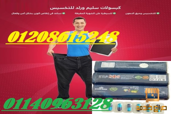 سليم ورلد بشكل الجديد