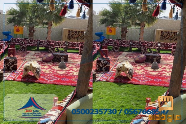 ايجار تراثيات كراسي اجتماعات