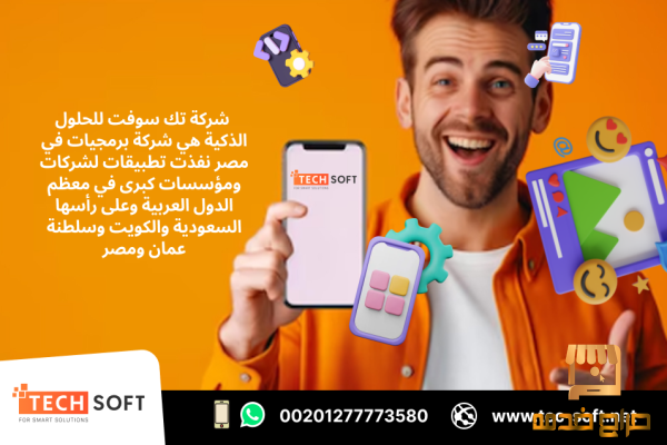 شركة برمجيات في مصر