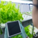 NextGenHydroponics