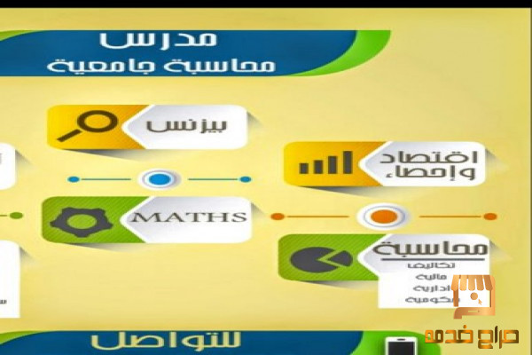 مدرس جامعى محاسبه واقتصاد بالبحرين