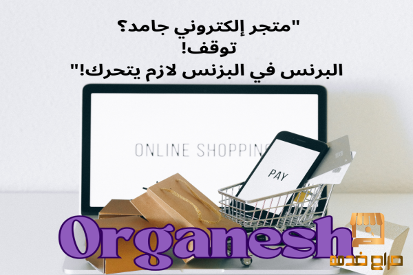 متجر إلكتروني جامد